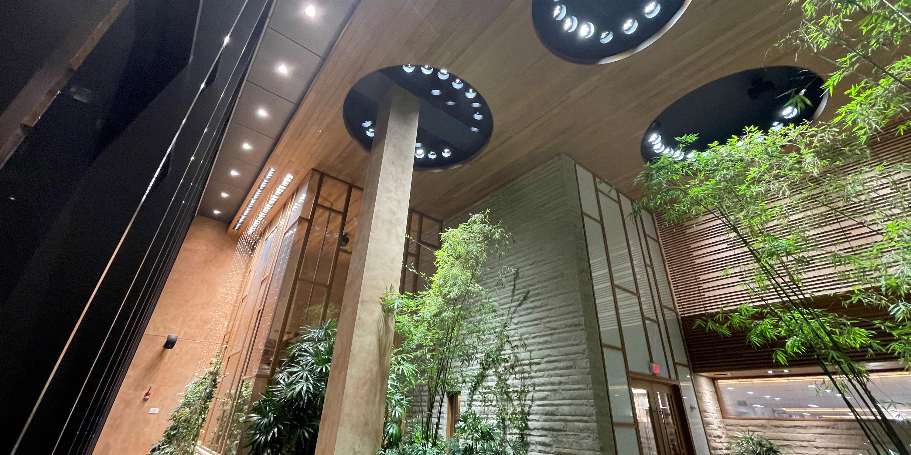 A hotel lobby with tall bamboo plants, wooden accents, and modern circular light fixtures.