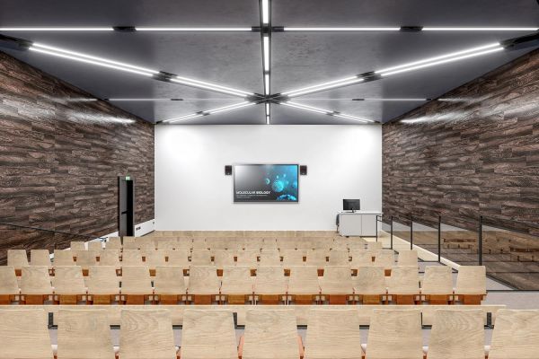 A contemporary lecture hall with tiered seating, wood panel walls, and a large presentation screen at the front.